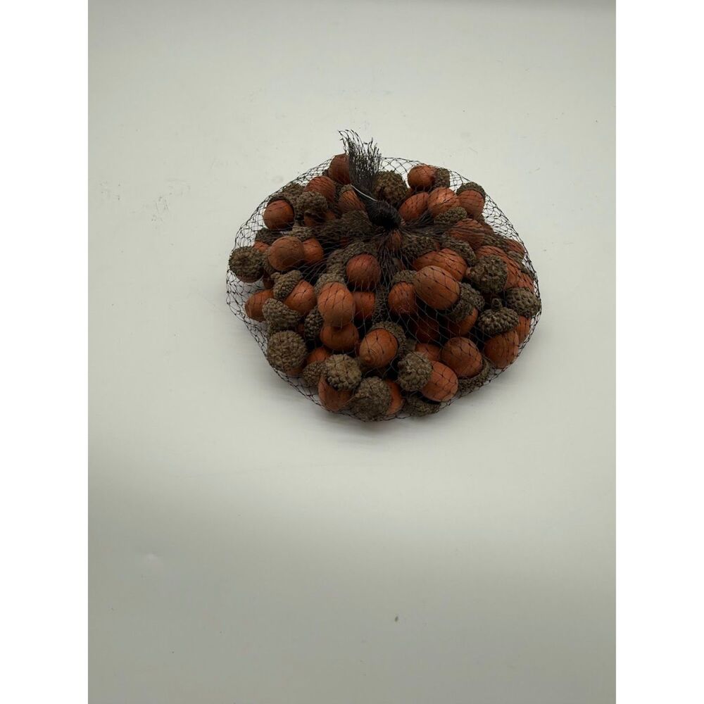 artificial acorns in a bag